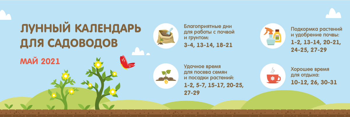 Магазин Садовод Череповец