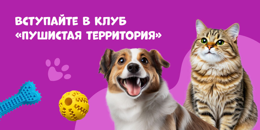 Любители домашних питомцев, общий сбор в новом клубе!