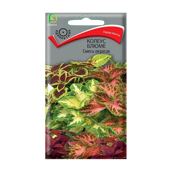 Семена цветы Колеус Блюме смесь красок Поиск