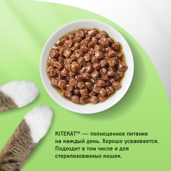 Корм для кошек Kitekat 85г с говядиной в соусе