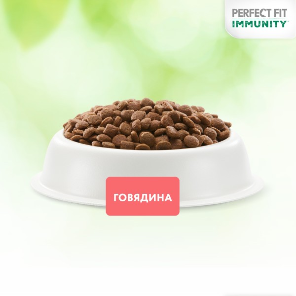 Корм для кошек Perfect fit Иммунитет 1,1кг говядина, лён, голубика