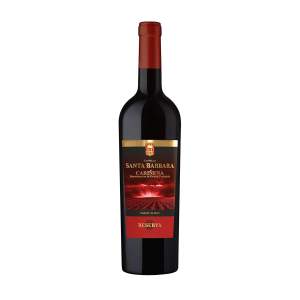 Вино сортовое красное сухое Castillo Santa Barbara Reserva 13% 0,75л