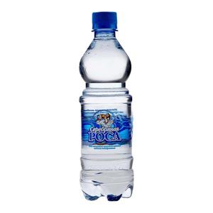 Вода питьевая негазированная Серебряная роса 0,5л