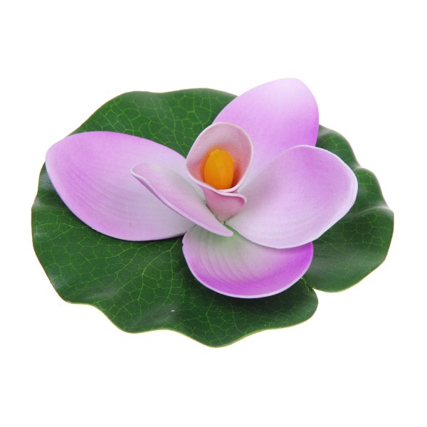 Растение водоплавающее Кувшинка Экзотик фиолетовая 15см