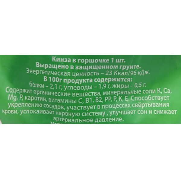 Кинза в горшочке 1шт