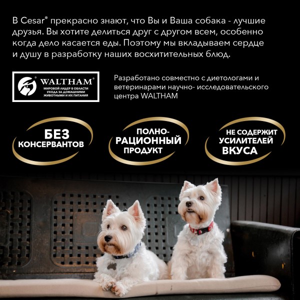 Корм для собак Cesar паштет с ягненком 80г