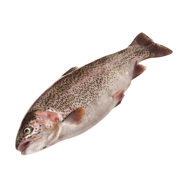 Форель радужная неразделенная замороженная