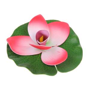 Растение водоплавающее Кувшинка Экзотик розовая 15см