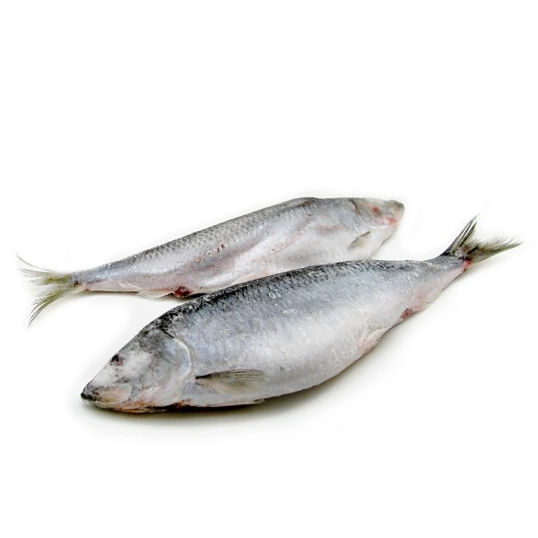 Сельдь замороженная Пингвин