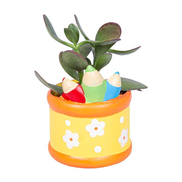 Цветы Суккулентный микс в кашпо васко d5,5 h10 Цветы Московского