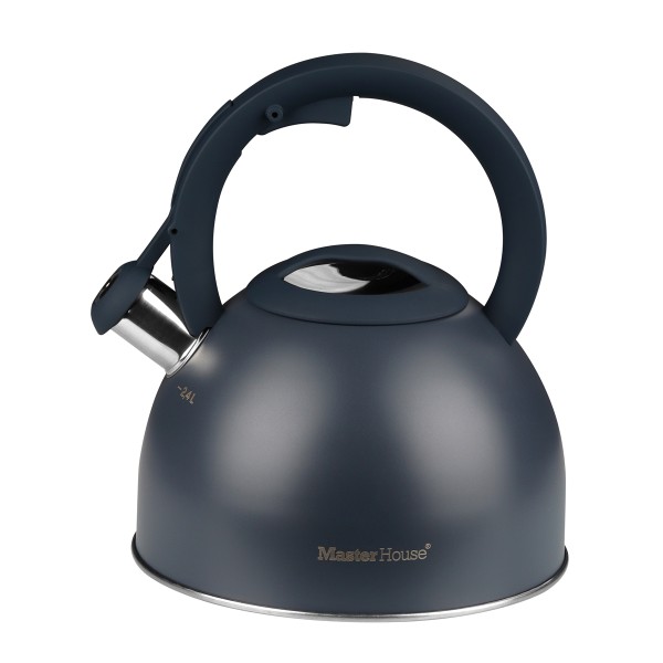 Чайник Antonio со свистком графит 2,4л Master House