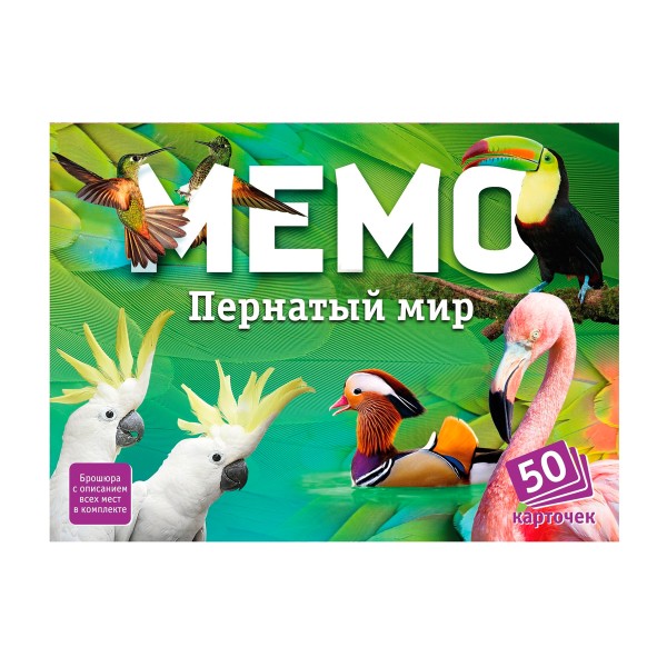 Игра настольная Мемо 50 карточек Нескучные игры пернатый мир