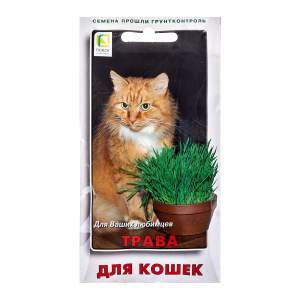 Семена Трава для кошек Поиск