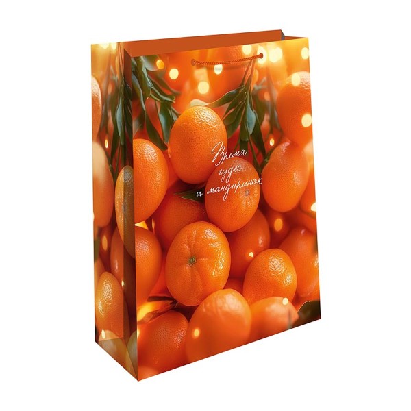 Сумка подарочная бумажная новогодняя 18х22,3см Aрт&Дизайн