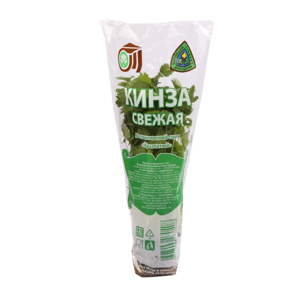 Кинза в горшочке 1шт