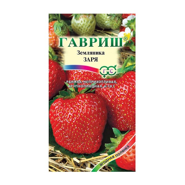 Семена земляника Заря Гавриш
