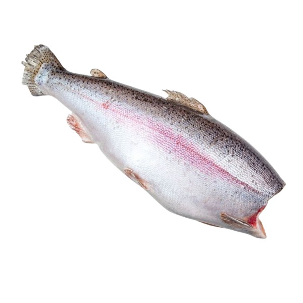 Форель без головы замороженная ИП Ярцев