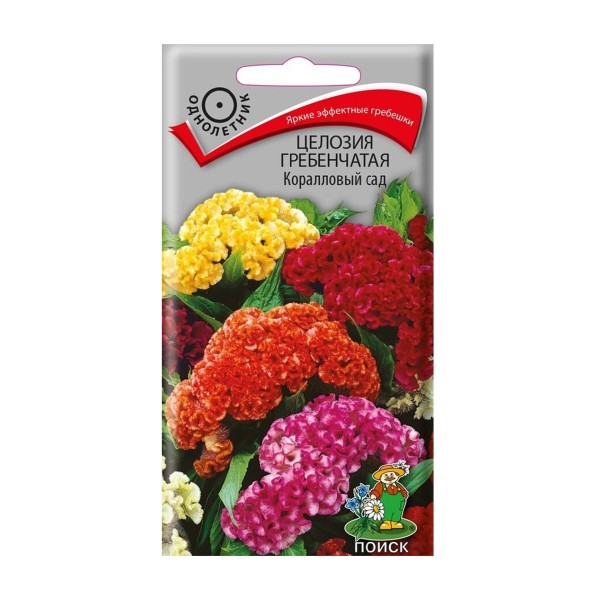 Семена цветы Целозия гребенчатая Коралловый сад Поиск