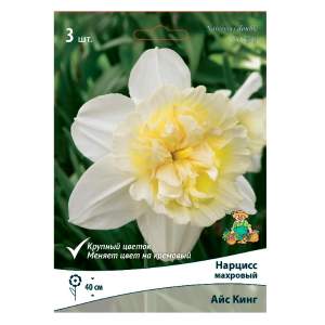 Луковицы цветов Нарцисс махровый Айс кинг 3 штуки Поиск