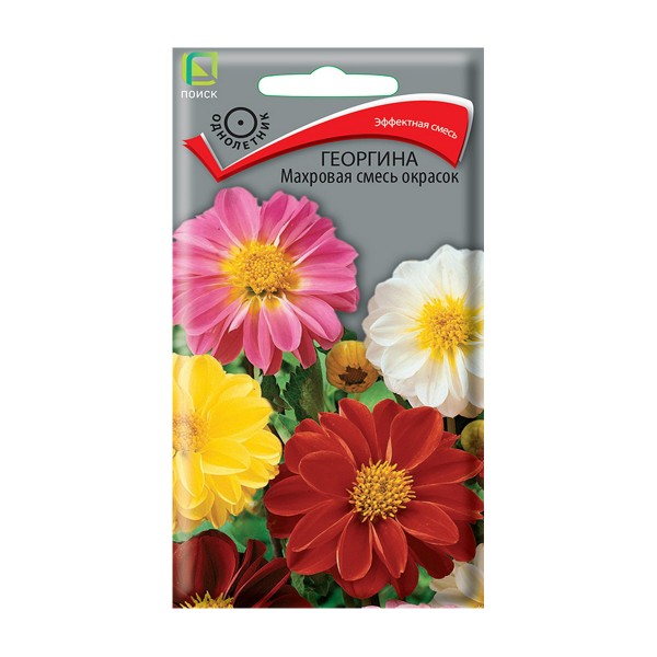 Семена цветы георгина Махровая смесь окрасок Поиск