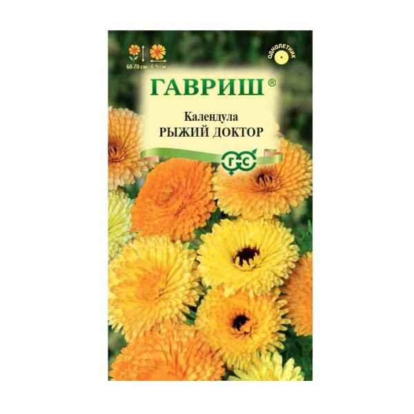 Читать рыжий доктор. Читать рыжий доктор