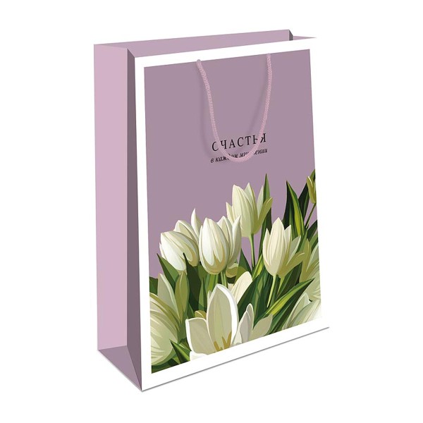 Сумка подарочная бумажная ламинированная 18х22см Арт&Дизайн