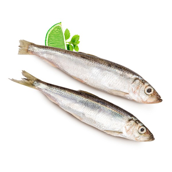 Салака замороженная Арт-рыба 1кг