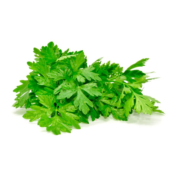 Петрушка 100г пленка (вологодская зелень)