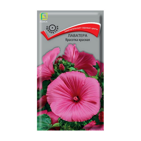 Семена цветы Лаватера Красотка красная Поиск