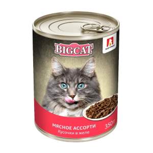 Корм для кошек Зоогурман Big Cat кусочки в желе Мясное ассорти 350г