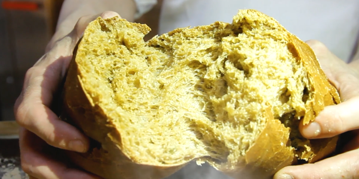 1500 хрустящих корочек: печём горячий хлеб каждый день!